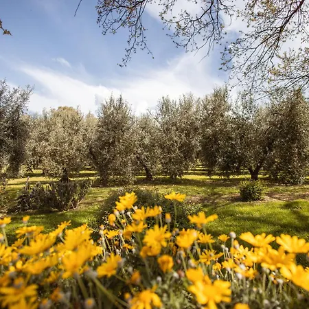 مزرعة للإقامة Bio I Lapi Catabbio